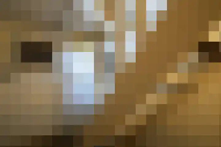 Vijlenberg 183 Vijlen thumbnail 22