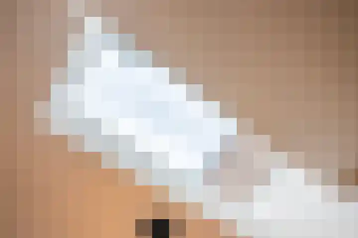 Vijverweg 3 de Wijk thumbnail 18