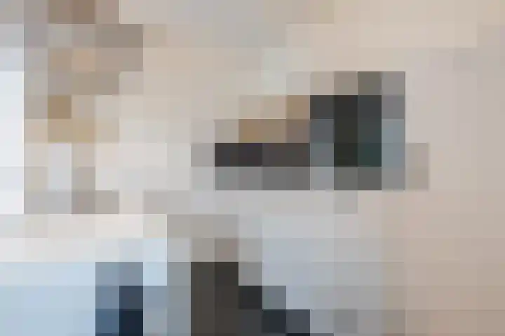 Vijverweg 3 de Wijk thumbnail 21