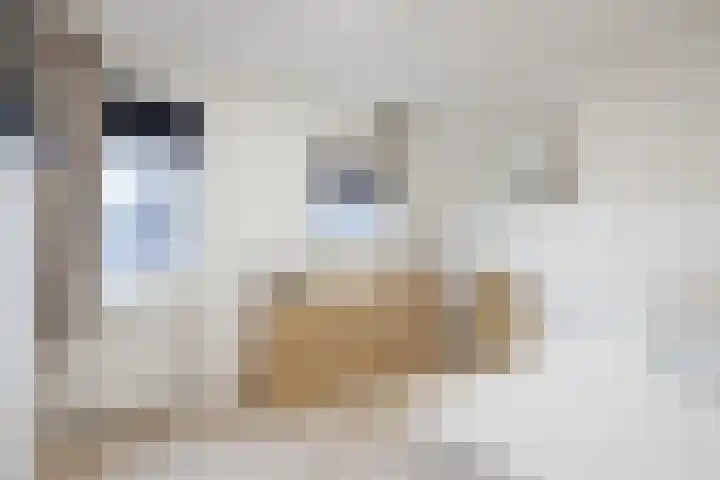 Vijverweg 3 de Wijk thumbnail 34