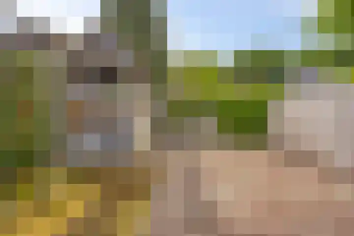 Vilheidehof 12 Mill thumbnail 28