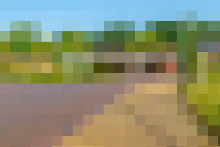Vilheidehof 12 Mill thumbnail 34