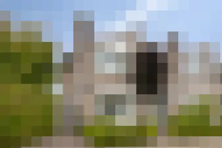 Vilheidehof 12 Mill thumbnail 42