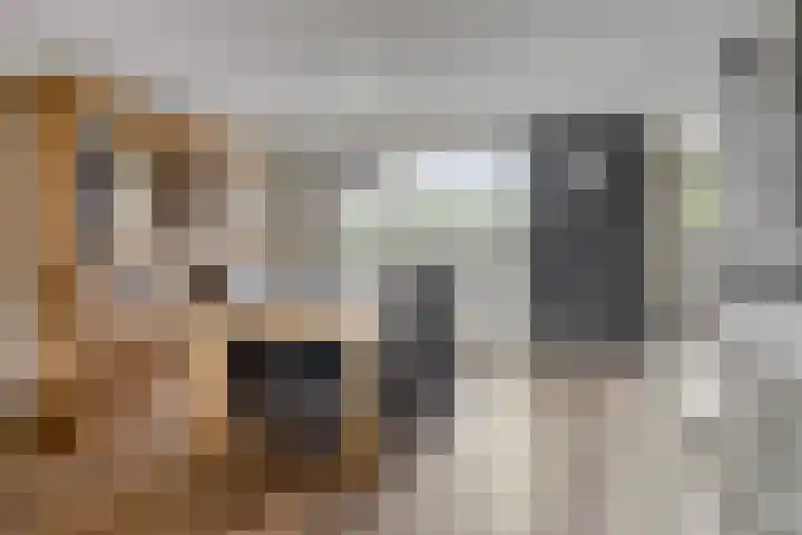 Vilheidehof 12 Mill thumbnail 7