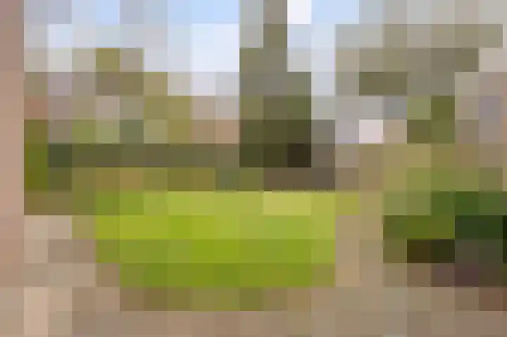 Villa Bertha 12 Angerlo thumbnail 34