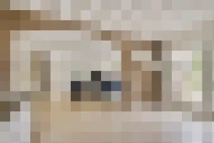 Villa Bertha 12 Angerlo thumbnail 4