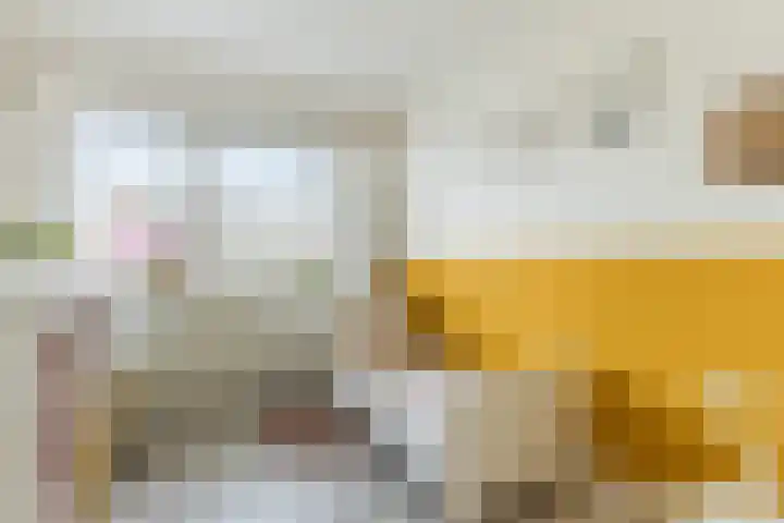 Vilsterendreef 14 Helmond thumbnail 19