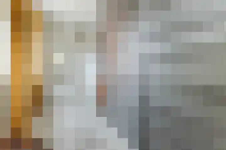 Vilsterendreef 14 Helmond thumbnail 25