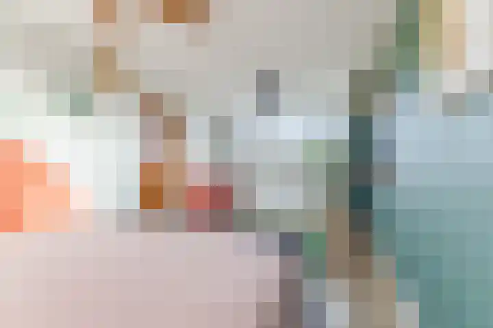 Vilsterendreef 14 Helmond thumbnail 32