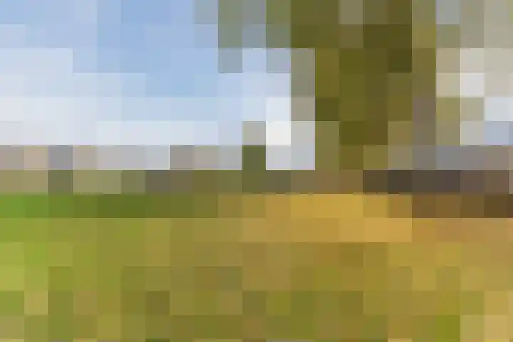 Vilsterendreef 14 Helmond thumbnail 36