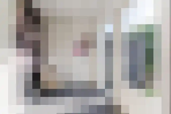 Vilsterendreef 15 Helmond thumbnail 16