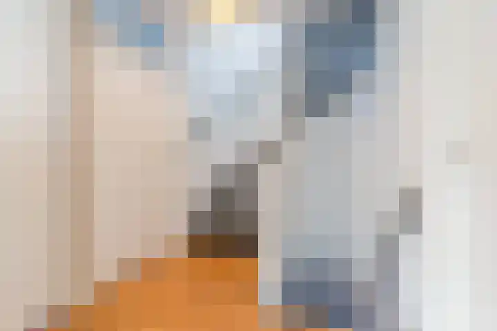 Vilsterendreef 15 Helmond thumbnail 17