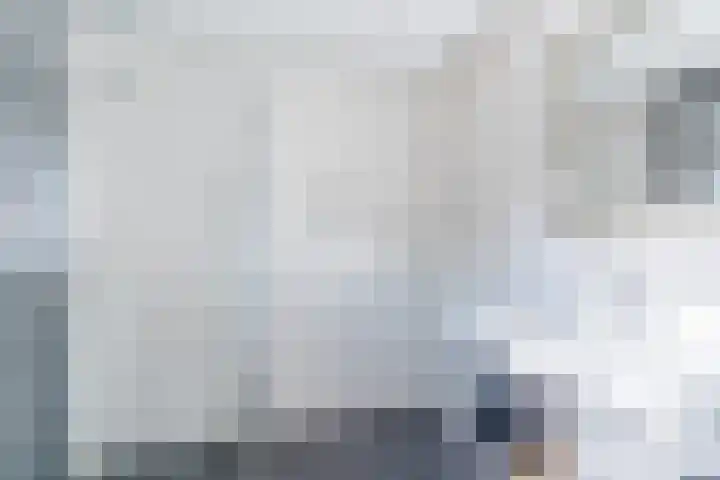 Vilsterendreef 15 Helmond thumbnail 22