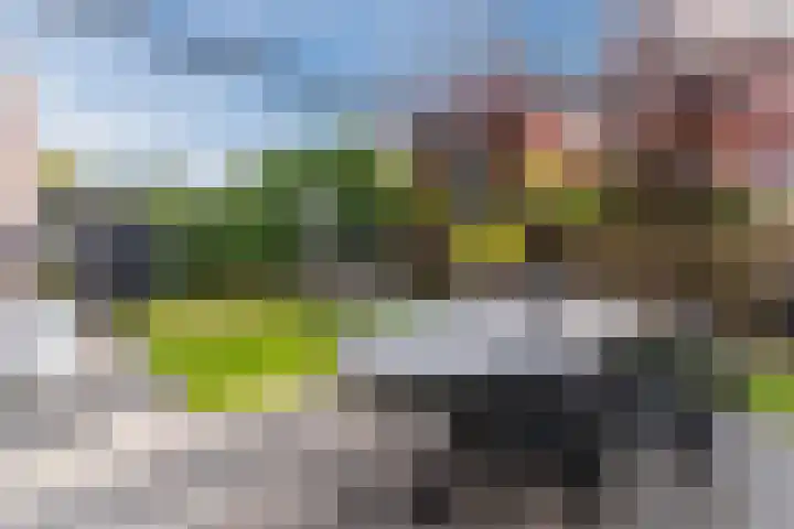 Vilsterendreef 15 Helmond thumbnail 27