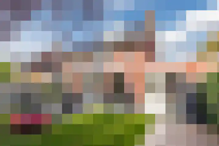 Vilsterendreef 15 Helmond thumbnail 28