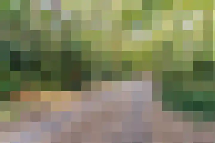 Vilsterendreef 15 Helmond thumbnail 31