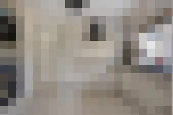 Vincent van Goghlaan 8 Enschede thumbnail 16