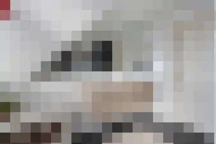 Vincent van Goghlaan 8 Enschede thumbnail 39