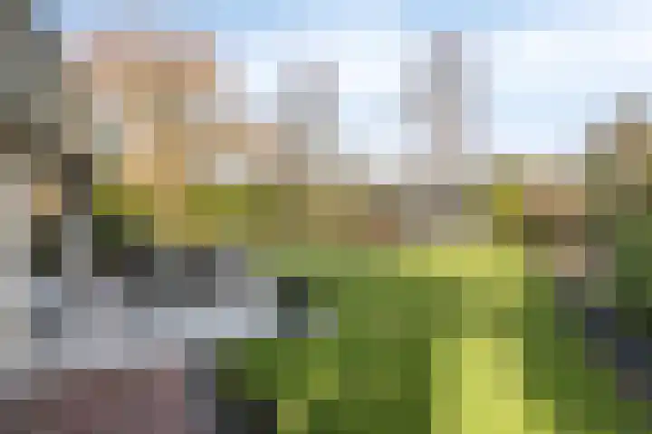 Vincent van Goghlaan 8 Enschede thumbnail 41