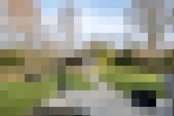 Vincent van Goghlaan 8 Enschede thumbnail 42