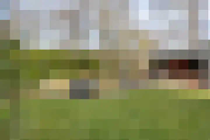 Vincent van Goghlaan 8 Enschede thumbnail 45