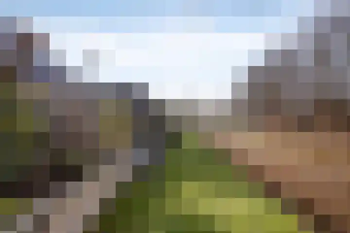Vincent van Goghlaan 8 Enschede thumbnail 50