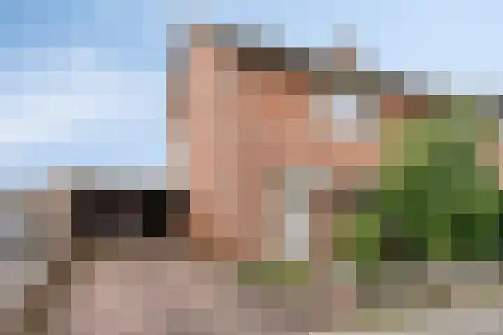 Vincent van Goghstraat 16 dans Bergen L