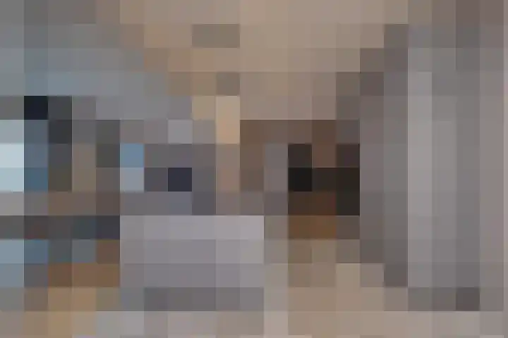 Vincentiuslaan 15 Susteren thumbnail 16