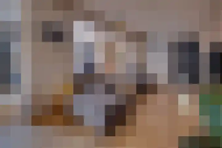 Vincentiuslaan 15 Susteren thumbnail 18