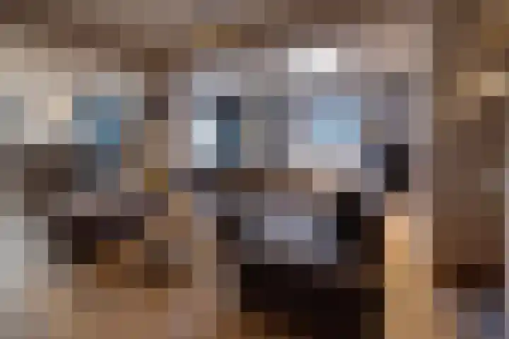 Vincentiuslaan 15 Susteren thumbnail 19