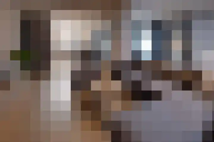 Vincentiuslaan 15 Susteren thumbnail 20