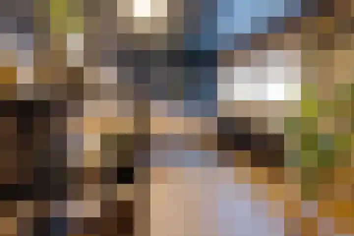 Vincentiuslaan 15 Susteren thumbnail 23