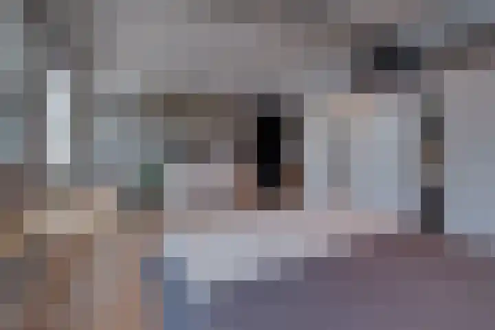 Vincentiuslaan 15 Susteren thumbnail 27