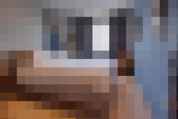 Vincentiuslaan 15 Susteren thumbnail 33