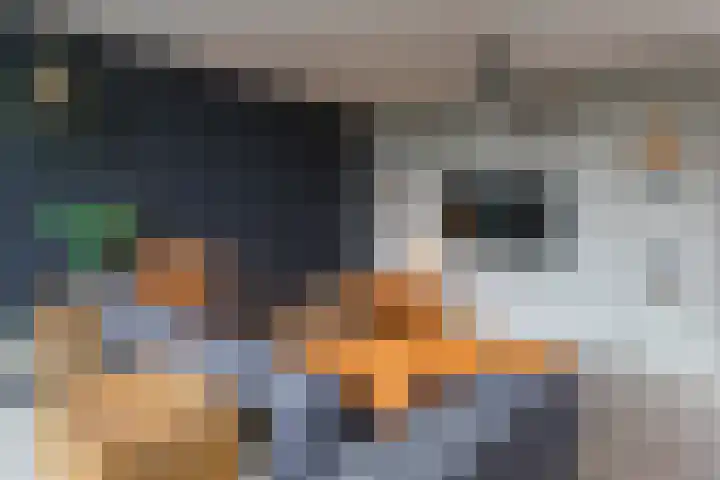 Vincentiuslaan 15 Susteren thumbnail 39