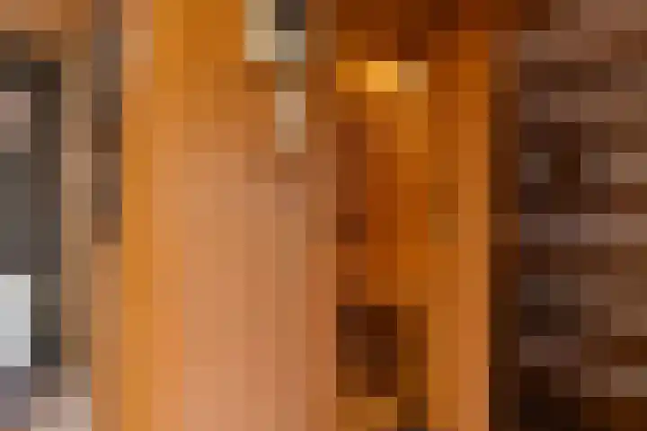 Vincentiuslaan 15 Susteren thumbnail 48