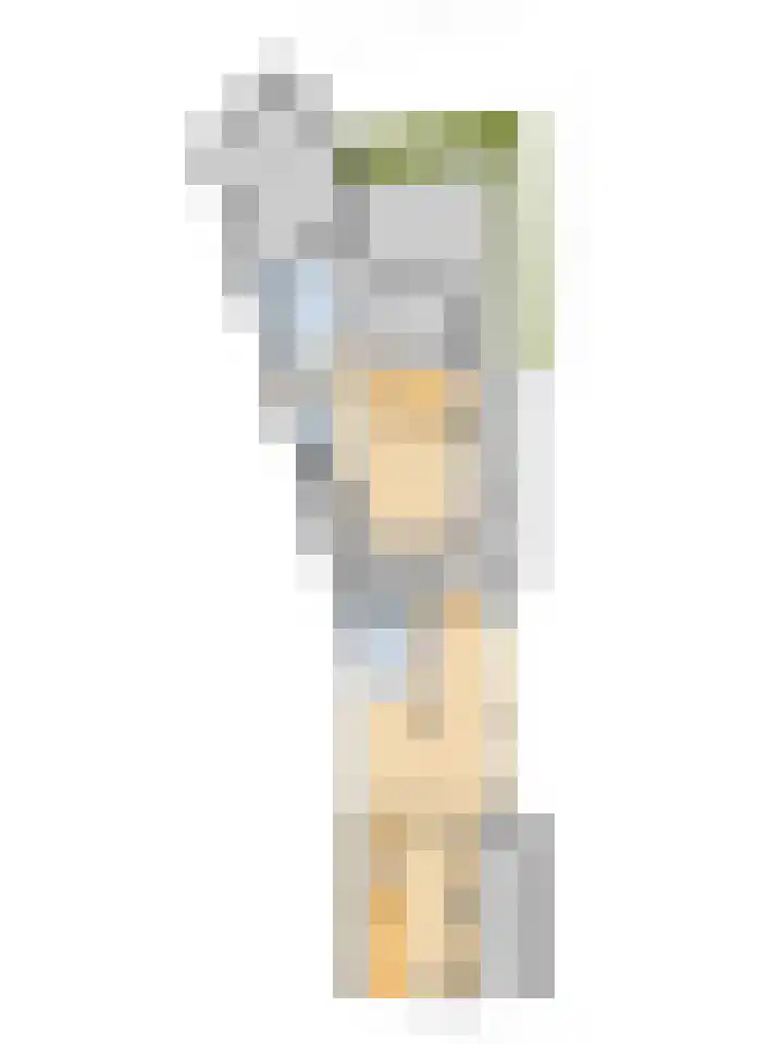 Vincentiuslaan 15 Susteren thumbnail 63
