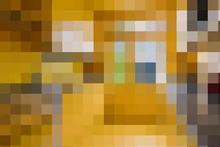 Vingerhoed 52 Breda thumbnail 11
