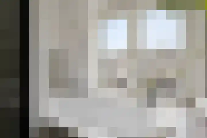 Vingerhoed 52 Breda thumbnail 17