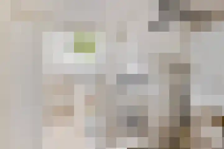 Vingerhoed 52 Breda thumbnail 21