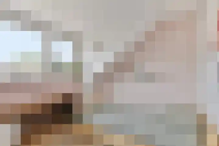 Vingerhoed 52 Breda thumbnail 22