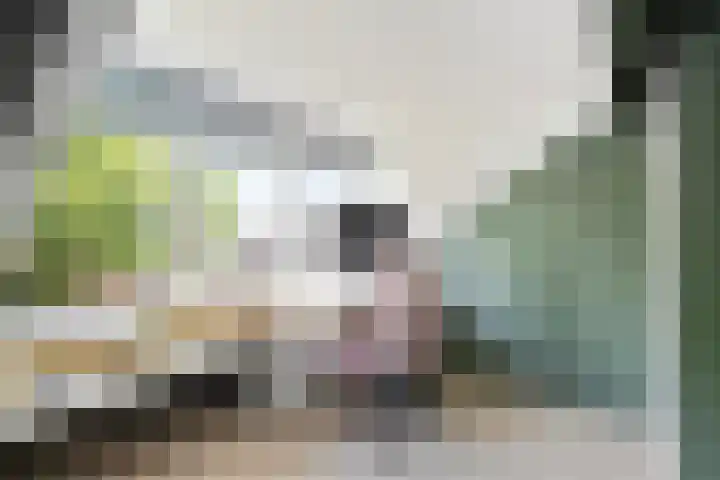 Vingerhoed 52 Breda thumbnail 23