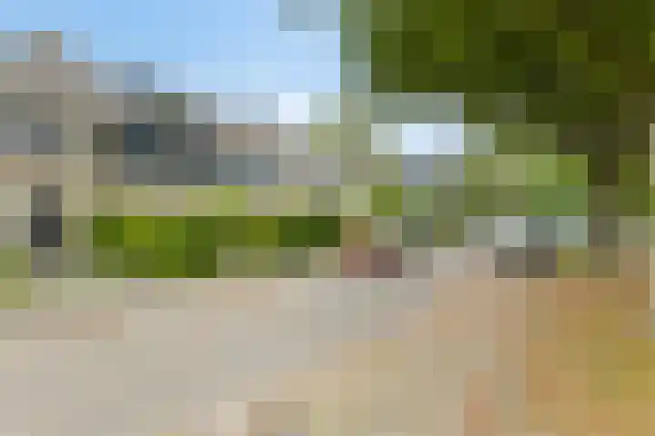Vingerhoed 52 Breda thumbnail 27