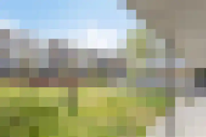Vingerhoed 52 Breda thumbnail 30