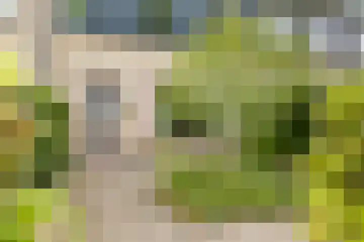 Vingerhoed 52 Breda thumbnail 4