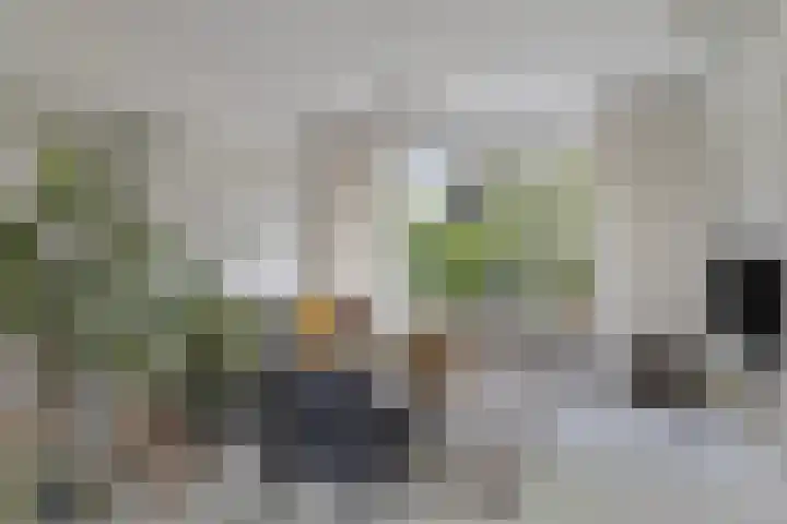 Vingerhoed 52 Breda thumbnail 7