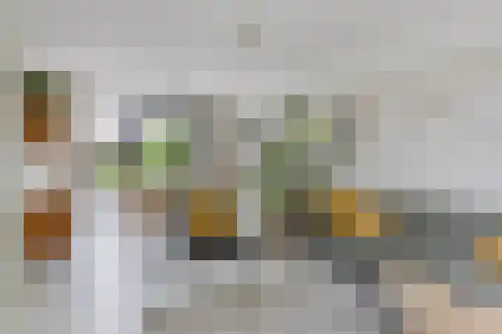Vingerhoed 52 Breda thumbnail 8