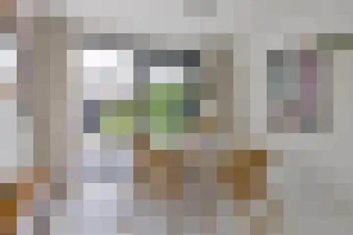 Vingerhoed 52 Breda thumbnail 9