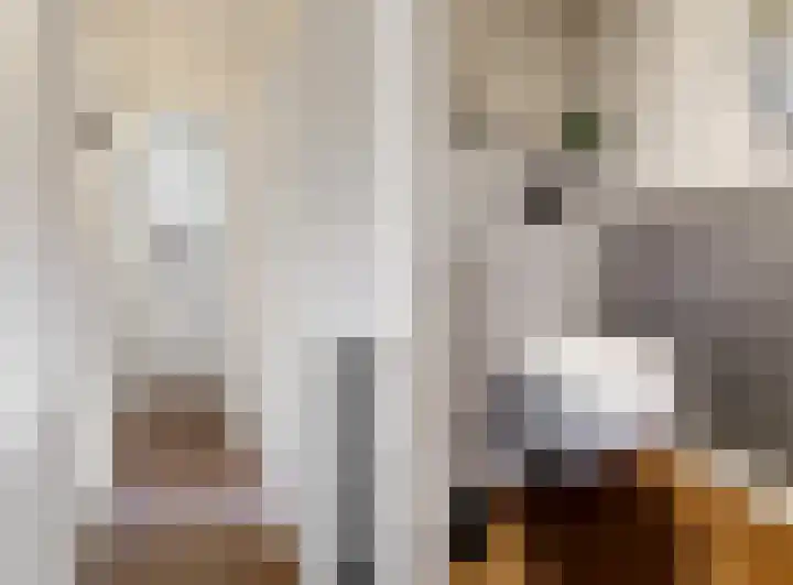 Vinkedelstraat 1 Simpelveld thumbnail 17