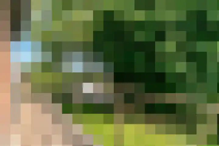 Vinkedelstraat 1 Simpelveld thumbnail 49
